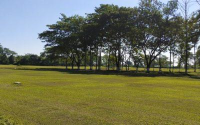 East Boroi Golf Course: A Scenic and Serene Golfing Destination in Assam